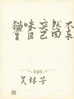 猫咪突然不见了会自己回来吗