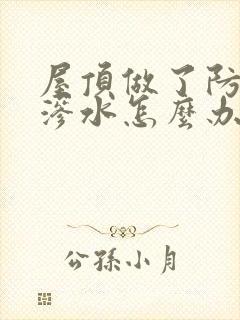 屋顶做了防水还渗水怎么办