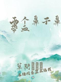 两个鼻子鼻屎都带血