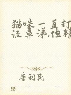 猫咪一直打喷嚏流鼻涕,但精神很好