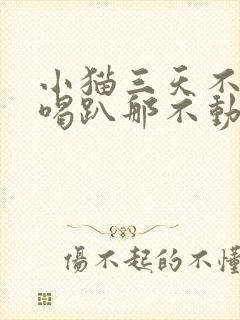 小猫三天不吃不喝趴那不动没精神