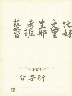 艺考生文化课补习班哪里好