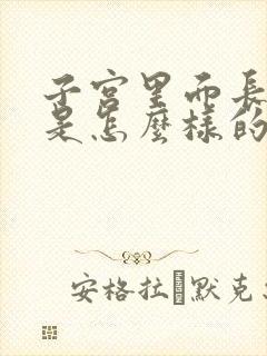 子宫里面长息肉是怎么样的