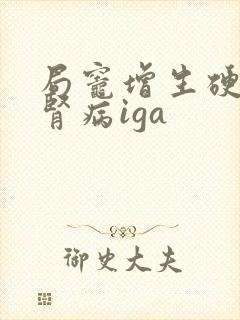 局灶增生硬化性肾病iga