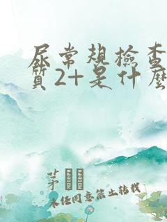 尿常规检查蛋白质2+是什么意思