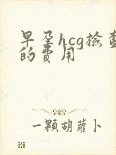 早孕hcg检查的费用