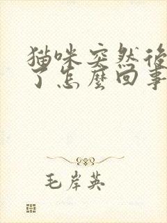 猫咪突然后腿瘸了怎么回事