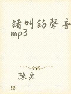 猪叫的声音音效mp3