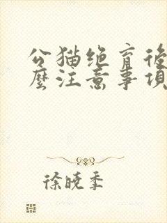 公猫绝育后有什么注意事项