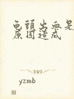 龟头出血是什么原因造成