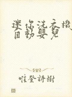 迷你洗衣机 全自动婴儿