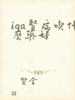 iga肾病吃什么药好