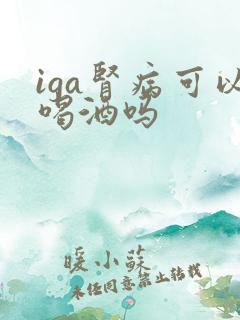 iga肾病可以喝酒吗
