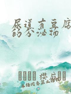 尿道有豆腐渣似的分泌物