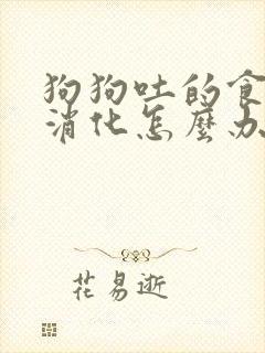 狗狗吐的食物未消化怎么办