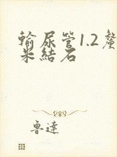 输尿管1.2厘米结石