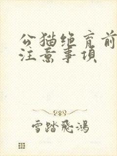 公猫绝育前后的注意事项