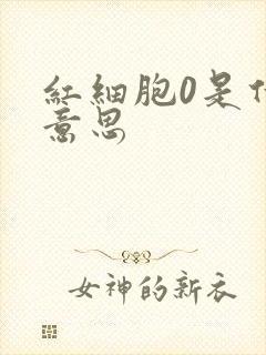 红细胞0是什么意思