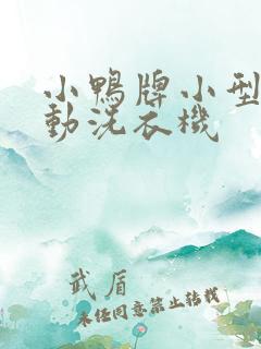 小鸭牌小型全自动洗衣机