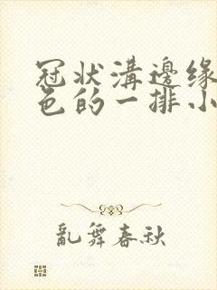 冠状沟边缘长白色的一排小疙瘩