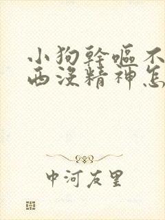 小狗干呕不吃东西没精神怎么办