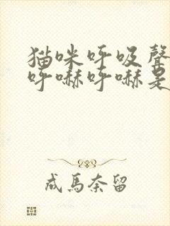 猫咪呼吸声很重呼哧呼哧是怎么了