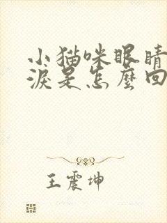 小猫咪眼睛流眼泪是怎么回事