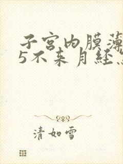 子宫内膜薄0.5不来月经怎么办