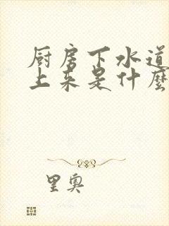 厨房下水道冒水上来是什么原因