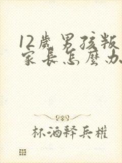 12岁男孩叛逆家长怎么办