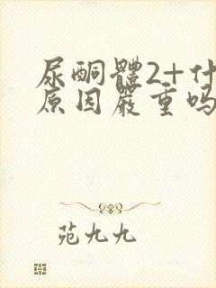 尿酮体2+什么原因严重吗