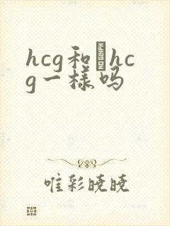 hcg和βhcg一样吗