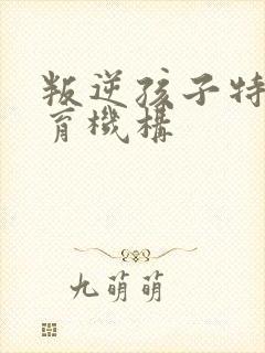 叛逆孩子特训教育机构