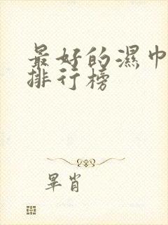 最好的湿巾品牌排行榜