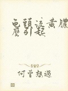 龟头流黄脓是什么引起