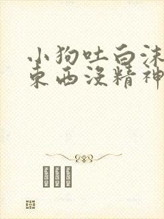 小狗吐白沫不吃东西没精神怎么办