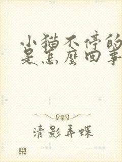 小猫不停的喝水是怎么回事儿