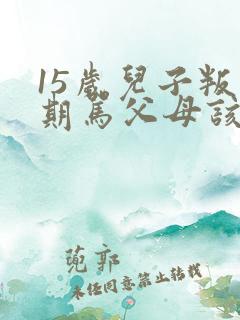 15岁儿子叛逆期骂父母该怎么办