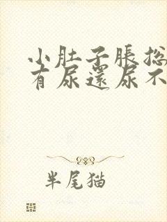 小肚子胀总感觉有尿还尿不出来多点