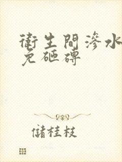 卫生间渗水补漏免砸砖