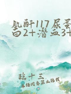 肌酐117尿蛋白2+潜血3+