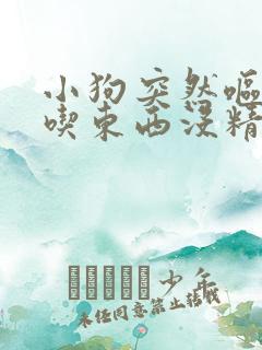 小狗突然呕吐不吃东西没精神怎么办