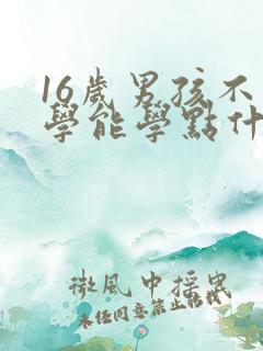 16岁男孩不上学能学点什么