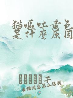 猫呕吐黄色泡沫是什么原因