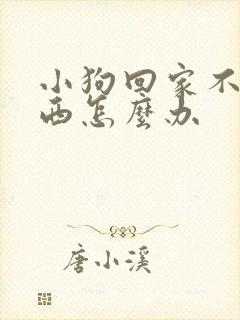 小狗回家不吃东西怎么办