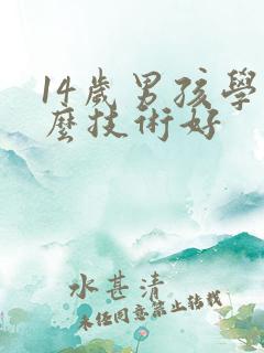 14岁男孩学什么技术好