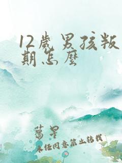 12岁男孩叛逆期怎么