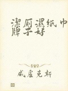 洁厕湿纸巾什么牌子好