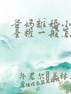 爸妈离婚小孩抚养权一般怎么判