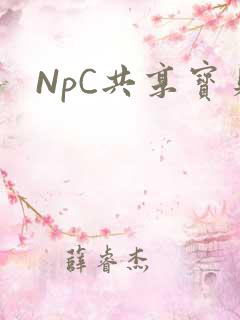 NpC共享宝贝
